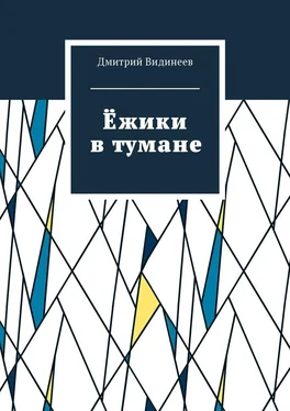 Дмитрий Видинеев Ёжики в тумане обложка книги