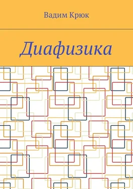 Вадим Крюк Диафизика обложка книги