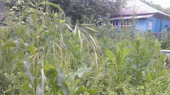 Глава вторая Встреча Первое что я увидела когда приехала в родовое - фото 2