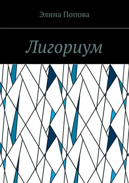 Элина Попова Лигориум обложка книги