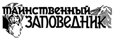 ТАИНСТВЕННЫЙ ЗАПОВЕДНИК Фантастический рассказ И Дельмонта I Ловля - фото 15