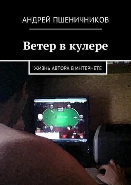 Андрей Пшеничников Ветер в кулере. Жизнь автора в интернете обложка книги