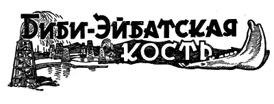 БИБИЭЙБАТСКАЯ КОСТЬ Автором настоящего рассказа присланного на лит конкурс - фото 38