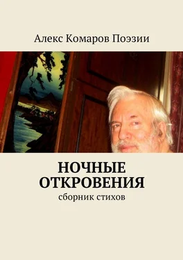 Алекс Комаров Поэзии Ночные откровения. Cборник стихов обложка книги