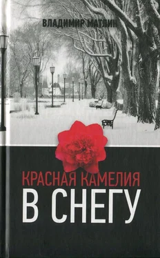 Владимир Матлин Красная камелия в снегу обложка книги