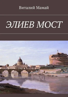 Виталий Мамай Элиев мост обложка книги