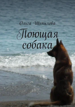 Ольга Шипилова Поющая собака обложка книги