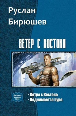 Руслан Бирюшев Ветер с Востока. Дилогия (СИ) обложка книги