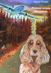 Нина Охард - Ручная кладь. Рассказы