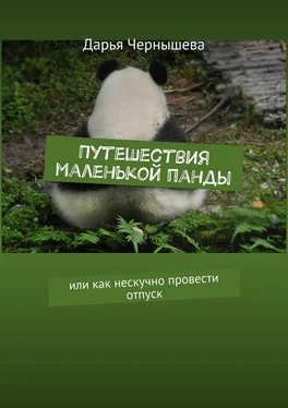 Дарья Чернышева Путешествия маленькой панды. Или как нескучно провести отпуск обложка книги