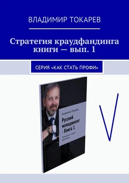 Владимир Токарев Стратегия краудфандинга книги – вып. 1. Серия «Как стать профи» обложка книги