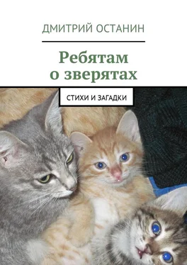 Дмитрий Останин Ребятам о зверятах. Стихи и загадки обложка книги