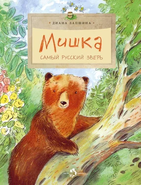 Диана Лапшина Мишка. Самый русский зверь обложка книги