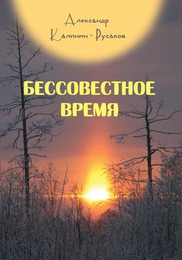 Александр Калинин-Русаков Бессовестное время обложка книги