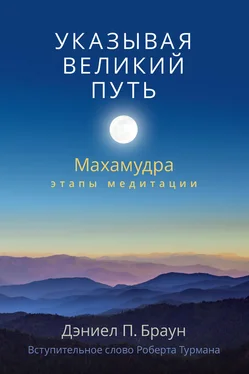 Дэниел Браун Указывая великий путь. Махамудра: этапы медитации обложка книги