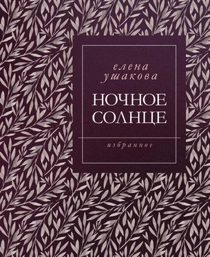 Елена Ушакова Ночное солнце. Стихи обложка книги