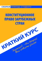 Коллектив авторов - Конституционное право зарубежных стран. Краткий курс