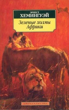 Эрнест Хемингуэй Лев мисс Мэри обложка книги