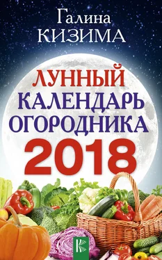 Галина Кизима Лунный календарь огородника на 2018 год обложка книги