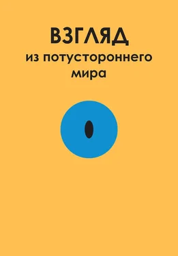 Олег Соболев Взгляд из потустороннего мира обложка книги