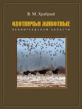 Владимир Храбрый Охотничьи животные Ленинградской области обложка книги