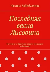 Наташа Хабибуллина - Последняя весна Лисовина. Истории о братьях наших меньших и больших
