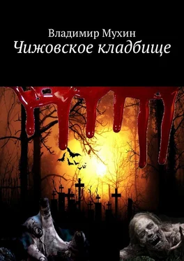 Владимир Мухин Чижовское кладбище обложка книги