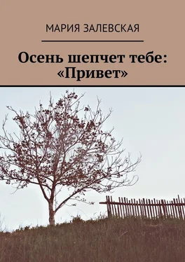 Мария Залевская Осень шепчет тебе: «Привет» обложка книги