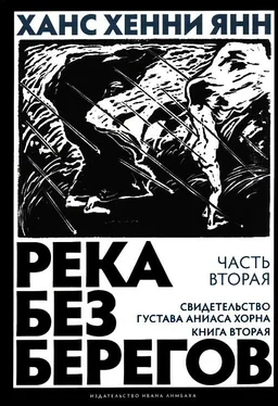 Ханс Хенни Янн Часть вторая. Свидетельство Густава Аниаса Хорна (Книга вторая) обложка книги