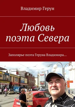 Владимир Герун Любовь поэта Севера. Заполярье поэта Геруна Владимира… обложка книги