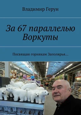 Владимир Герун За 67 параллелью Воркуты. Посвящаю горнякам Заполярья обложка книги