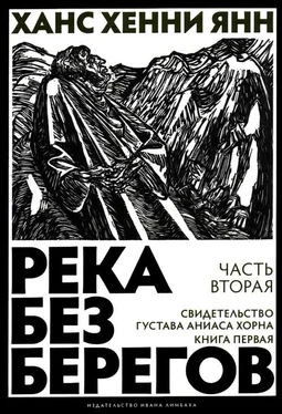 Ханс Хенни Янн Часть вторая. Свидетельство Густава Аниаса Хорна (Книга первая) обложка книги