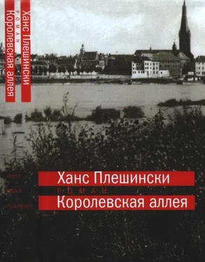 Ханс Плешински Королевская аллея обложка книги