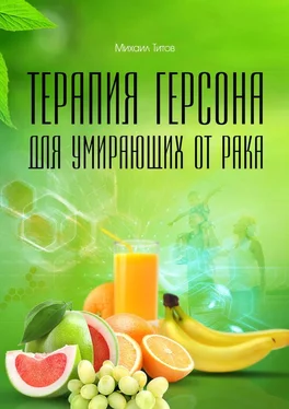 Михаил Титов Терапия Герсона для умирающих от рака обложка книги