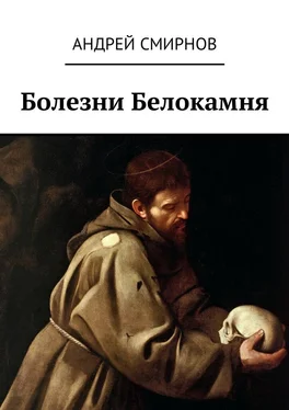 Андрей Смирнов Болезни Белокамня обложка книги