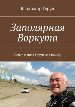 Владимир Герун Заполярная Воркута. Север и поэт Герун Владимир обложка книги