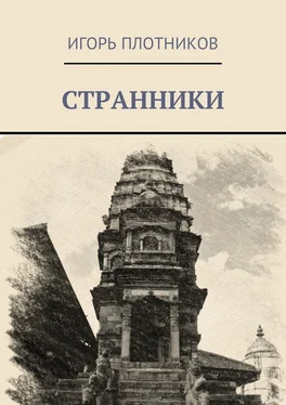 Игорь Плотников Странники обложка книги