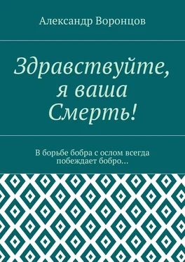 Александр Воронцов Здравствуйте, я ваша Смерть! В борьбе бобра с ослом всегда побеждает бобро… обложка книги