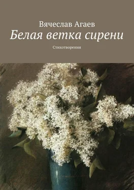 Вячеслав Агаев Белая ветка сирени. Стихотворения обложка книги