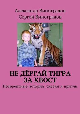 Сергей Виноградов Не дёргай тигра за хвост. Невероятные истории, сказки и притчи обложка книги