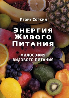 Игорь Соркин Энергия Живого Питания обложка книги