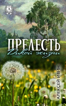 Алексей Ивин Прелесть дикой жизни обложка книги