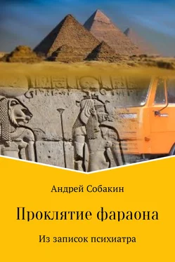 Андрей Собакин Проклятие фараона. Из записок психиатра обложка книги