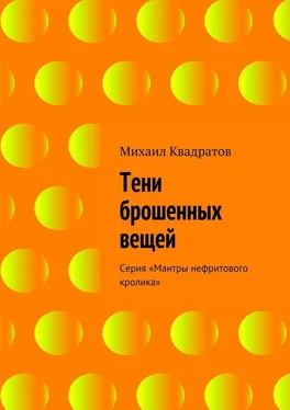 Михаил Квадратов Тени брошенных вещей обложка книги