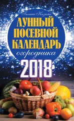 Галина Кизима - Лунный посевной календарь огородника на 2018 год