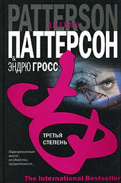 Эндрю Гросс Третья степень обложка книги