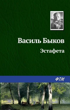 Василий Быков Эстафета обложка книги