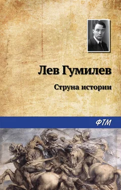 Лев Гумилев Струна истории обложка книги