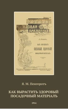 Я. Пенгеротъ Как вырастить здоровый посадочный матерiалъ обложка книги