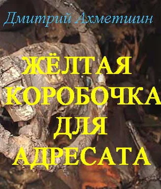 Дмитрий Ахметшин Жёлтая коробочка для адресата обложка книги